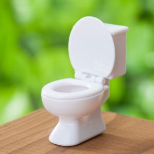 ウオッシュレットは英語で何？