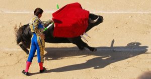 赤色で興奮しているのは、ウシではなく人間のほう