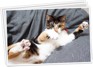 学びと私コンテスト